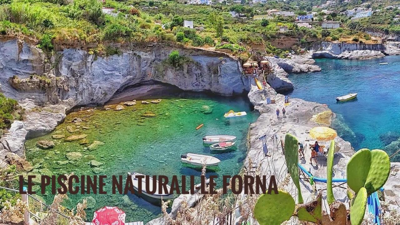 Ponzamania Appartamenti ,,Belvedere" Ponza Bagian luar foto